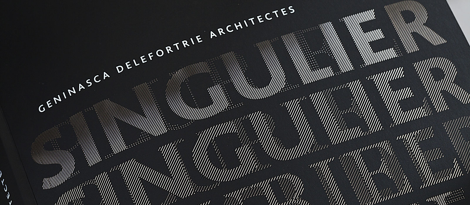 Geninasca Delefortrie Architectes