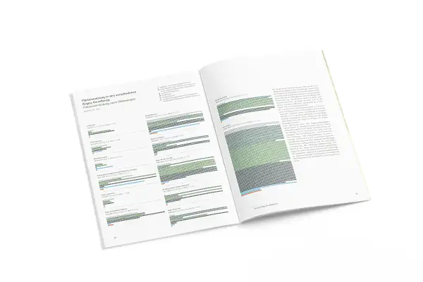 Raumbild Vorarlberg 2030