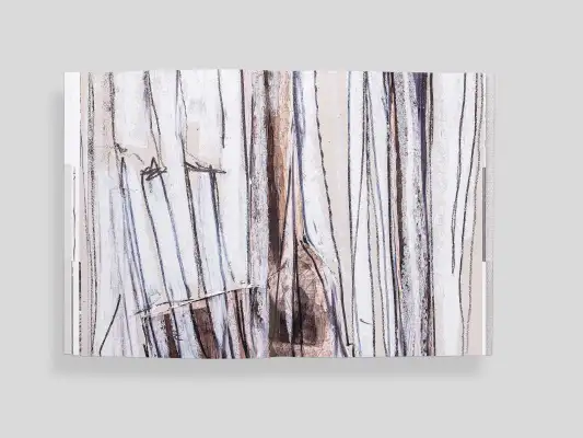 Roger Boltshauser, Response